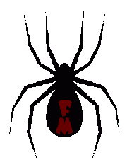 spider image